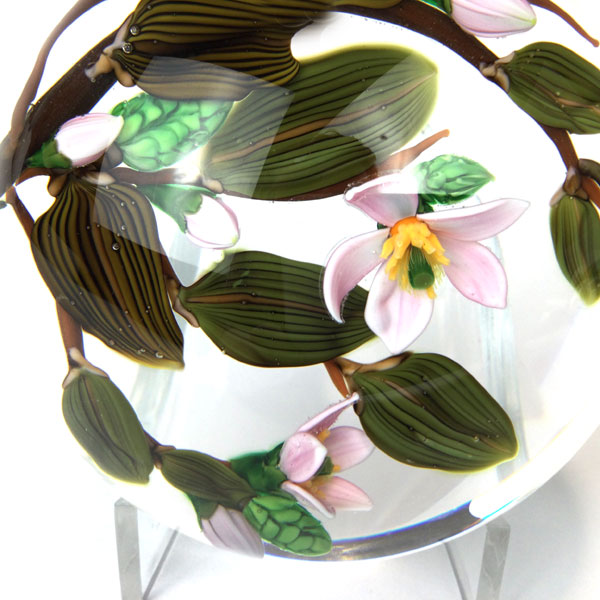 Magnolia Blossoms - Pink flowers and green pods - Image 3